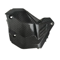 Petit panneau latéral carbone ducati panigale v4/v4s 2025