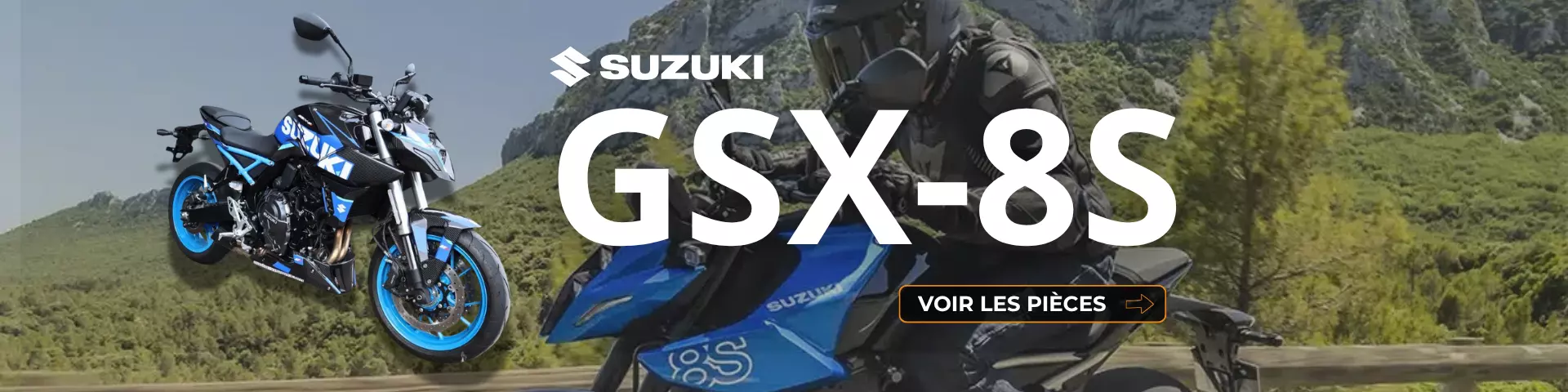 <p>Suzuki GSX8S</p>
