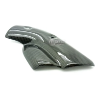Prot. ligne carbone ducati 748 916 996f85880792607.jpg