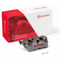 Https://moto-vision.com/medias/img/brembo/17010897-01.jpg