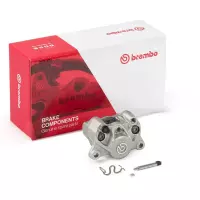Https://moto-vision.com/medias/img/brembo/17010904-01.jpg