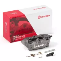 Https://moto-vision.com/medias/img/brembo/17010907-01.jpg