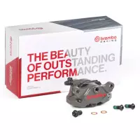 Https://moto-vision.com/medias/img/brembo/17010909-01.jpg